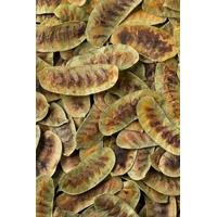 Deve Gözü (100 Gr)