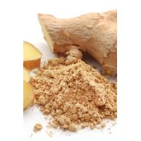 Toz Zencefil (100 Gr)