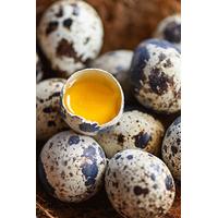 Bıldırcın Yumurtası 12'li Paket