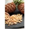 Çam Fıstığı( Dolmalık) 250 Gr