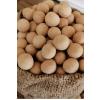 Çıtır Leblebi  500 Gr
