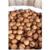 Kabuklu Ceviz 500 Gr