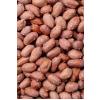 Yer Fıstığı Kavrulmuş Tuzlu 500 Gr