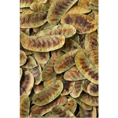 Deve Gözü (100 Gr)