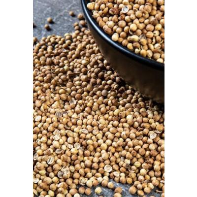 Kişniş Tane (100 Gr)