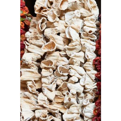 Kuruluk Dolmalık Kabak (1 Bağ)