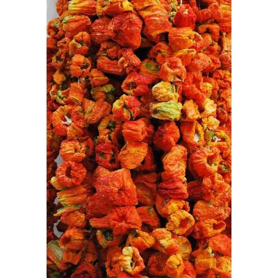 Kurutmalık Tatlı Biber Dizimli İp (1 Bağ)