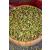 Antep Fıstığı Pirinç 250 Gr